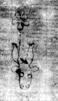 DE5580-2Incca1882-4_c7