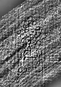 DE0960-l.i.r.f.134_999