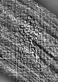 DE0960-l.i.r.f.134_999