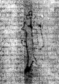 DE5580-2Incca2902_x6