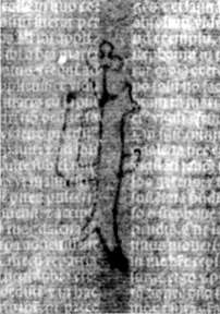 DE5580-2Incca2902_x6