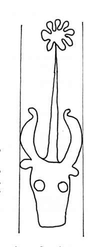 DE4860-Ms516_204