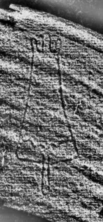 DE0960-Mm81_121
