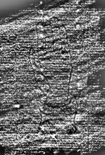 DE0960-4Inc692_d5