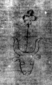 DE5580-2Incca1882-3_CC10