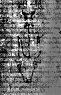 DE5580-2Incca2783_G5