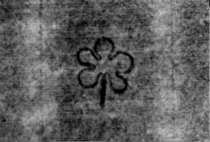 DE5580-2Incca1194a_a1