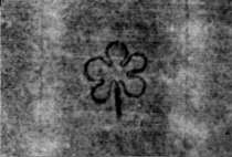 DE5580-2Incca1194a_a1
