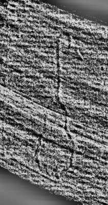DE0960-Mm84_116
