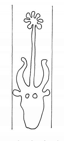 DE4860-Ms548_31