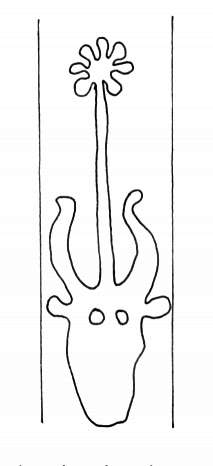 DE4860-Ms548_31
