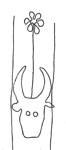 DE4860-Ms509_324