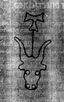 DE5580-2Incca1497_m4
