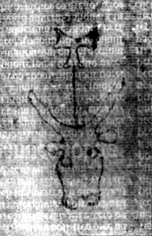 DE5580-2Incca2783_E4