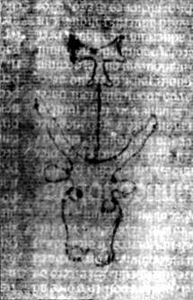 DE5580-2Incca2783_E4