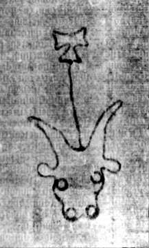 DE5580-2Incca1948b1_d1