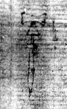 DE5580-2Incca2063a_l2