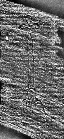 DE0960-4Inc2166_999