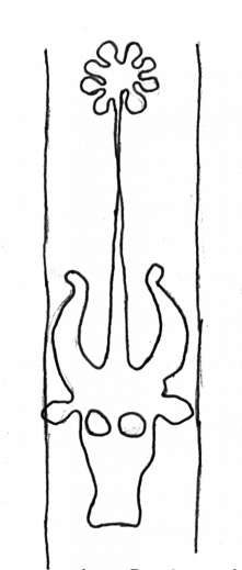 DE4860-Ms537_353