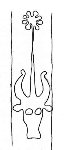 DE4860-Ms537_353