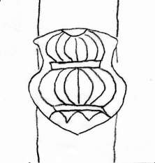 DE5580-Codgraec138a_33