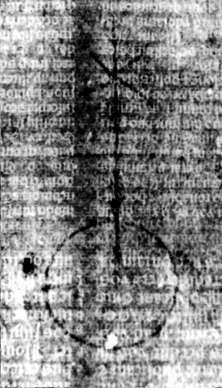 DE5580-2Incca2887a4_f4