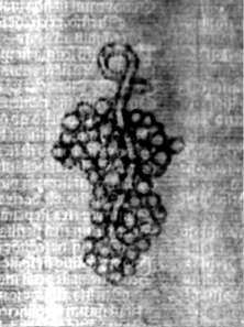 DE5580-2Incca34012_Vv2