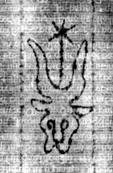 DE5580-2Incca794ab_I1