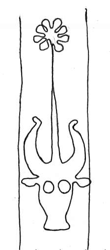 DE4860-Ms537_337