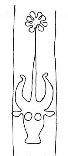 DE4860-Ms537_337