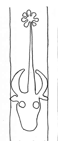 DE4860-Ms509_28