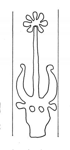 DE4860-Ms516_336