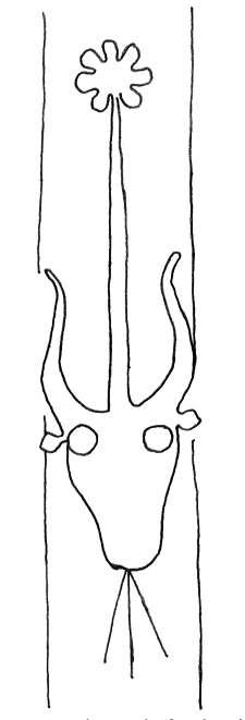 DE4860-Ms810_I