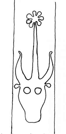 DE4860-Ms887_254