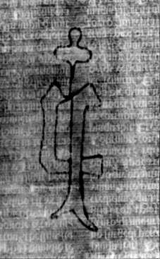 DE5580-2Incca1368b_a5
