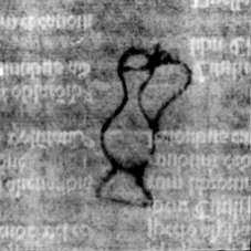 DE5580-2Incca2747_B8