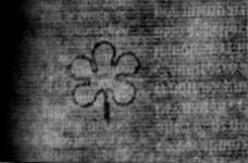 DE5580-2Incca1194a_a3