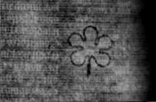 DE5580-2Incca1194a_a3