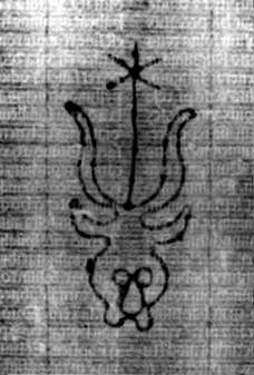 DE5580-2Incca1368b_M4