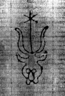 DE5580-2Incca1368b_M4