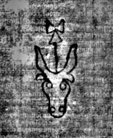 DE5580-2Incca3341_1-8
