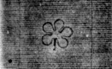 DE5580-2Incca1203a_a1