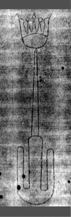 DE5580-2Incca1123b_a1