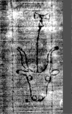 DE5580-2Incca1882-4_g2
