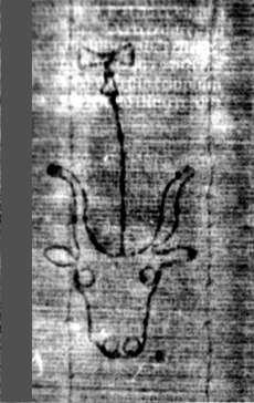 DE5580-2Incca1882-4_g2