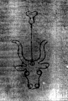 DE5580-2Incca2063a_b2