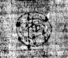 DE5580-2Incca794ab_g8
