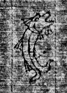 DE0960-Mgf922_128