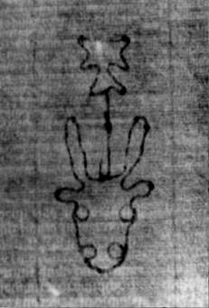 DE5580-2Incca1882-3_CC7