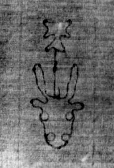 DE5580-2Incca1882-3_CC7